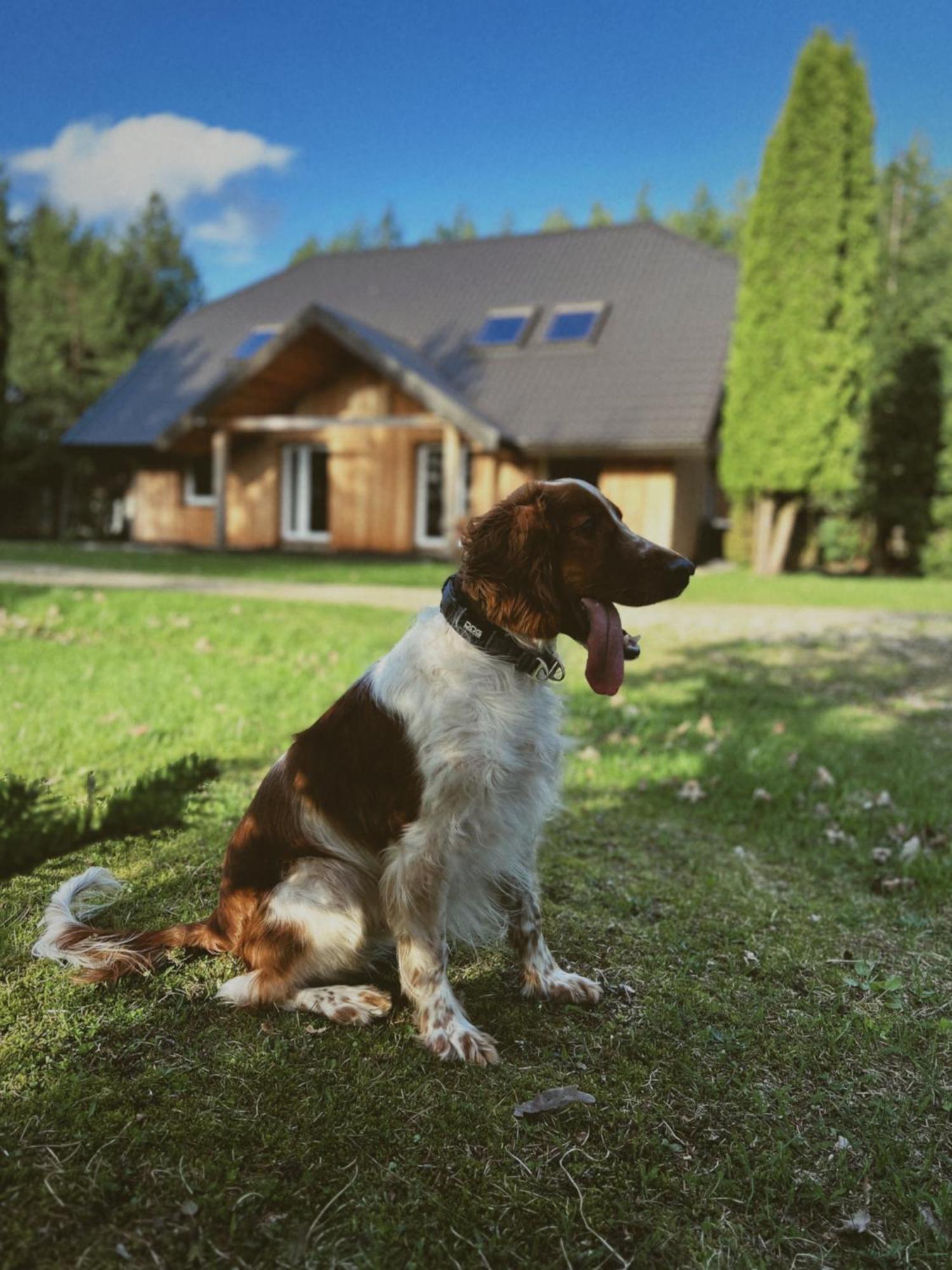 Pakaso Sodyba Kirdeikiai Buitenkant foto